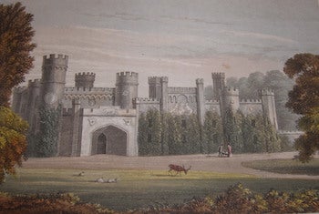 Ackermann, Rudolph (1764 - 1834) - Bridge Park. Seat of the Earl of Abergavenny