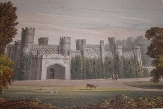 Item #68-3095 Bridge Park. Seat Of The Earl Of Abergavenny. Rudolph Ackermann