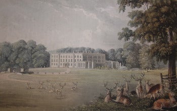 Ackermann, Rudolph (1764 - 1834) - Trentham Hall