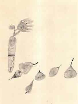 Item #68-7194 Blume und Fruchte. (Flower and Fruits). 1927. Pen. 14" x 11 7/8". Paul...