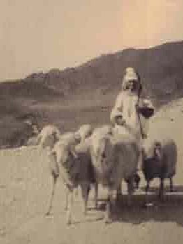 Item #68-9009 [Algeria?]. 1930s Sahara photographer