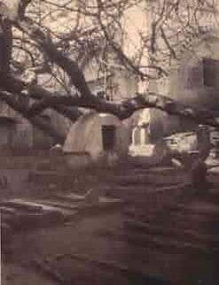 Item #68-9090 Algiers, Algeria. 1930s Sahara photographer.