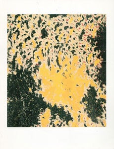Item #69-0090 Jon Schueler: To the North. The City Art Centre.