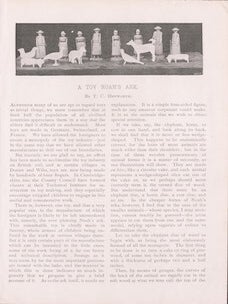 Item #69-6628 A Toy Noah's Ark (pages 1 & 2). T C. Hepworth