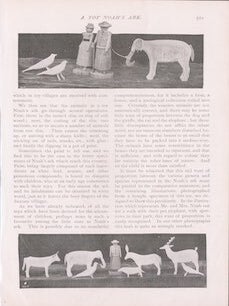 Item #69-6629 A Toy Noah's Ark (page 3). T C. Hepworth