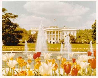 Item #70-0640 Original official White House photograph of White House, lawn, fountain and flower...