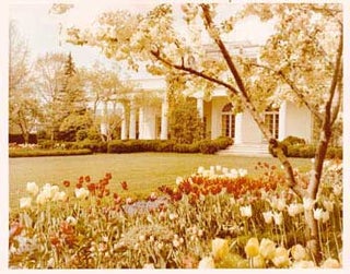 Item #70-0692 Original official White House photograph of White House, with lawn and flower beds...