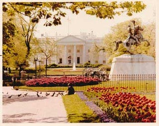 Item #70-0831 Original official White House photograph of White House, lawn, fountain, statue and...