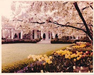 Item #70-0832 Original official White House photograph of White House, lawn, and flower beds....