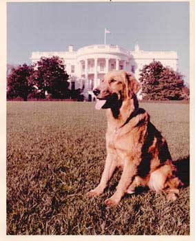 Item #70-0833 Original official White House photograph of President Gerald Ford's dog, Liberty....