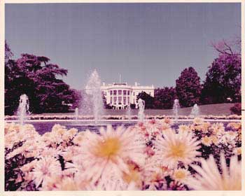 Official White House Photographer - Original Official White House Photograph of White House, Lawn, Fountain, and Flower Beds