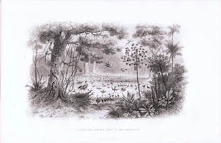 Item #70-0935 E Etang des Oiseaux Pris le Rio Francisco. (B&W engraving). 19th Century European...