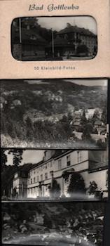 [20th Century German Photographer] - Photomappeansichten Bad Gottleuba. (View Album of Bad Gottleuba)