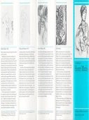 Item #70-3467 The Drawings of Henri Matisse : February 28 - May 14, 1985. (Exhibition pamphlet.)....