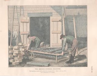 Item #71-3156 The Smoked-Herring Industry, [Maine]. Engraver unknown, from a., T. W. Smillie