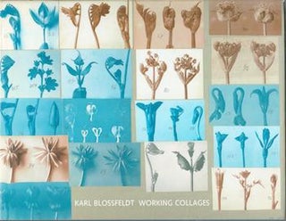 Item #71-4601 Karl Blossfeldt: Working Collages. Karl Blossfeldt, Ann and Jurgen Wilde, Ulrike...