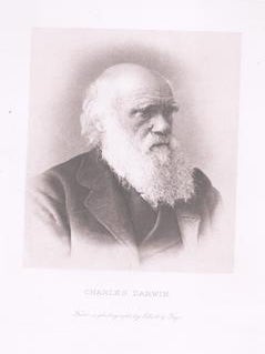 Item #71-6477 Portrait of Charles Darwin (1809-1881). Elliott, Fry
