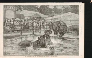 Item #73-0279 The Hippopotami in Their New Tank At Central Park September 29 1888. after F. S....