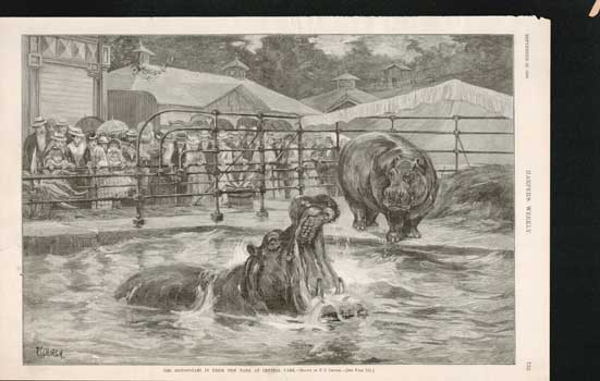 Item #73-0279 The Hippopotami in Their New Tank At Central Park September 29 1888. after F. S. Church, Harper's Weekly, drawing.
