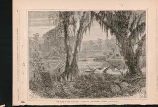 Item #73-0282 The Home of the Alligator,—A Scene on Lake Kissinee, Florida. Harper's Weekly