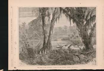 Item #73-0282 The Home of the Alligator,—A Scene on Lake Kissinee, Florida. Harper's Weekly.