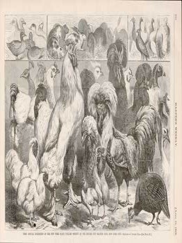 Item #73-0315 First Annual Exhibition of the New York State Poultry Society at the Empire City...