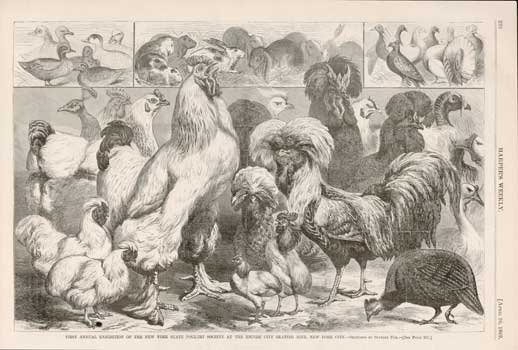 Item #73-0315 First Annual Exhibition of the New York State Poultry Society at the Empire City Skating Rink, New York City April 10 1869. Harper's Weekly.