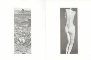 Item #73-0751 Michael A. Smith Recent Photographs: Nudes and Landscapes. June 15, 1994 - July 23, 1994. Bill Bace Gallery.