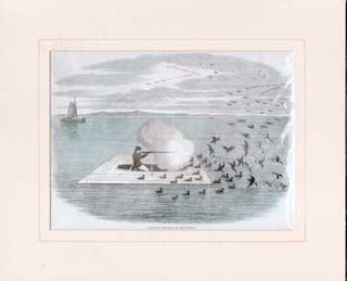 Item #73-2603 Wild Duck Shooting on the Potomac. 19th Century American Engraver