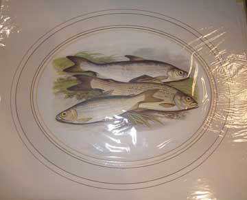 Item #73-4660 British Fresh-Water Fishes. Vendace, Gwynial, Grayling. William L. Houghton.