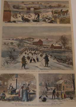 Item #73-4671 Our Thanksgiving Bird. December 2, 1871. Theo. R. Davis, Harper's Weekly