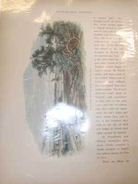 Item #73-5237 Picturesque America. 19th Century American Publisher