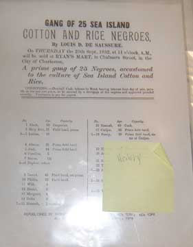 Item #73-5708 Gang of 25 sea Island Cotton and Rice Negroes - Slave Auction Advertisement. 20th...