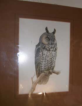 Item #73-5780 Long-eared Owl. 20th Century American Publisher