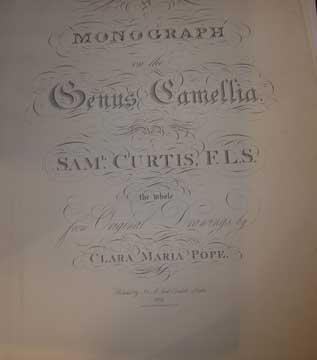Item #73-5788 Monograph Genus Camellia Saml. Curtis, F.L.S. 20th Century American Publisher