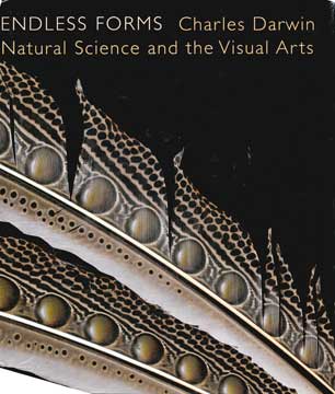 Item #73-6702 Endless Forms: Charles Darwin, Natural Science and the Visual Arts. Donald Diana,...