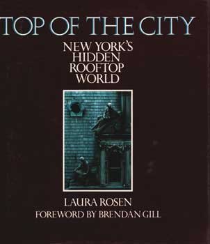 Item #75-1312 Top Of The City: New York's Hidden Rooftop World. Laura Rosen