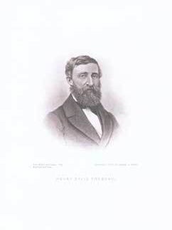 Item #75-6993 Portrait of Henry David Thoreau: The Perry Pictures 43. The Perry Pictures, Boston