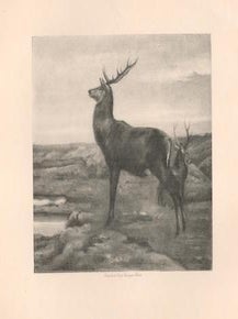 Two Stags, one in Profile. Rosa Bonheur, After.