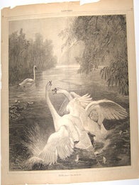 Item #76-1139 The Duel. Harper’s Weekly, May 8, 1875. J. Wolf, Harper’s Weekly, Drawn by
