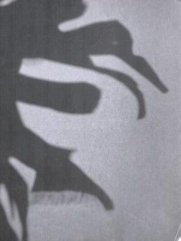 Item #77-1422 Jolene Rickard: Cracked Shell, April 1-June 30, 1994. Jolene Rickard