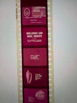 Item #77-2104 Mollusks and other Misc. Groups. Imperial Film Company