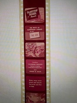 Item #77-2106 Plant Life in the Sea. Pessino Filmstrip House, Catehrine, Edwin G. Cram