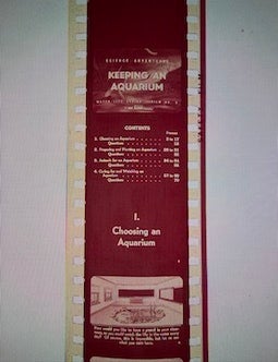 Item #77-2109 Science Adventure: Keeping an Aquarium , Water Life Series, Film NO. 5. Jam Handy Organization.