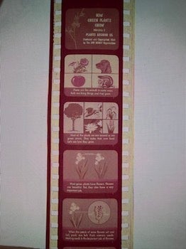 Item #77-2115 How Green Plants Grow. Plants Around Us Filmstrip 3. Jam Handy Organization