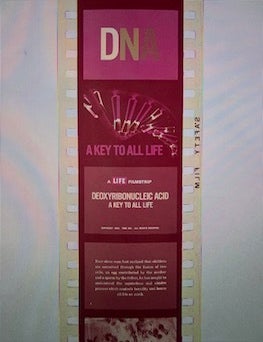 Item #77-2131 DNA: A Key to Life. Life Filmstrip.