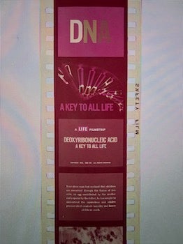 Item #77-2131 DNA: A Key to Life. Life Filmstrip